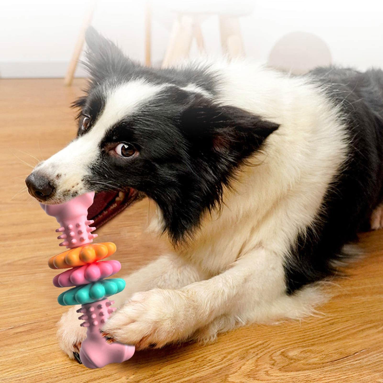 Dog Chew Toy Dog Bone Type Dogs Teeth Cleaning Toys Indestructible TPR Bone Chewing Bite Resistant Teething Toys Pet Products - Image 4